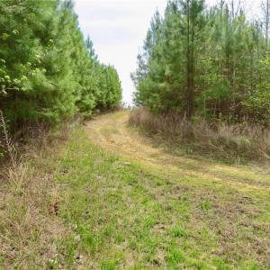 Addit main access trail