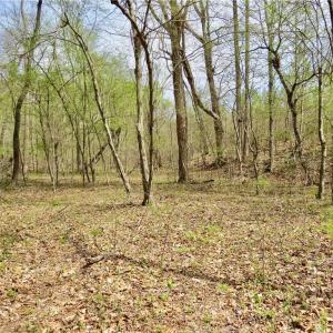 Another designated hunting area