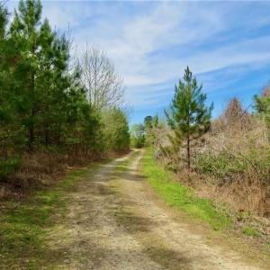 Additional access trail