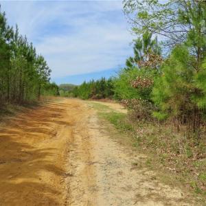 Another view of many of the access trails