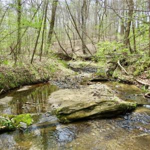 Addit view of Creek