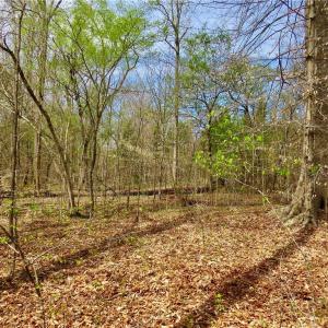 Hunting area