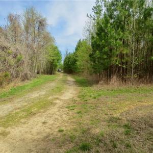 Entrance to main access trail