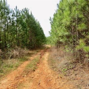 Access Trail