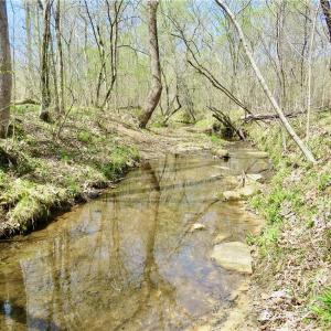 Gorgeous views of one of the Creek crossings