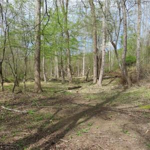 Designated hunting area