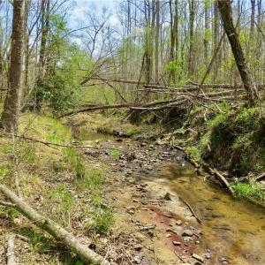 Another Creek view