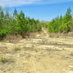 View of another junction area for many access trails