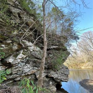 Bottom of cliff on the Dan River