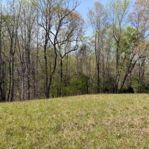 Photo #13 of seven island, Danbury, NC 25.1 acres