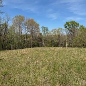 Photo #12 of seven island, Danbury, NC 25.1 acres