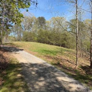 Photo #9 of seven island, Danbury, NC 25.1 acres