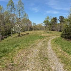 Photo #10 of seven island, Danbury, NC 25.1 acres