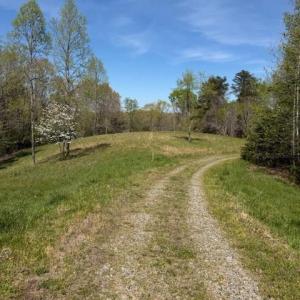 Photo #11 of seven island, Danbury, NC 25.1 acres