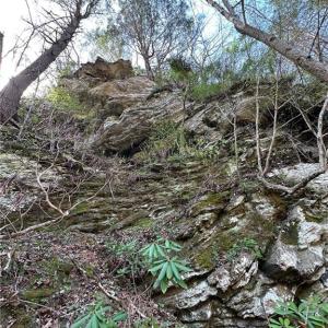 Looking up the cliff