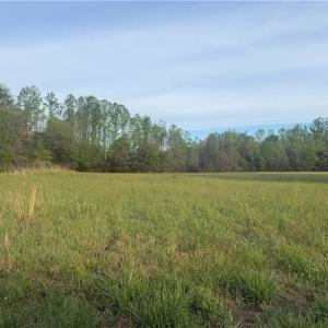Photo #3 of 146 Mabes, Eden, NC 3.3 acres