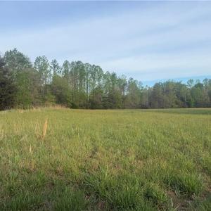 Photo #1 of 146 Mabes, Eden, NC 3.3 acres