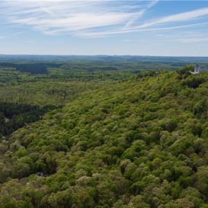 Photo #5 of Wilson, Asheboro, NC 48.4 acres