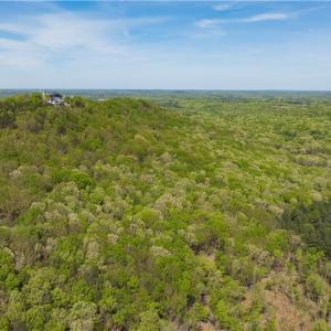 Photo #4 of Wilson, Asheboro, NC 48.4 acres