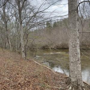 Photo #2 of seven island, Danbury, NC 13.2 acres