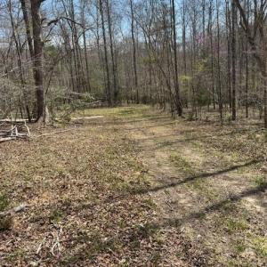 Photo #7 of seven island, Danbury, NC 13.2 acres