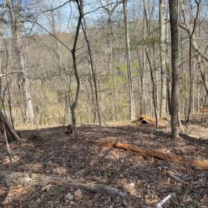 Photo #5 of seven island, Danbury, NC 13.2 acres