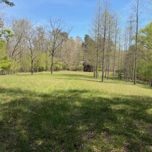 Photo #9 of seven island, Danbury, NC 13.2 acres