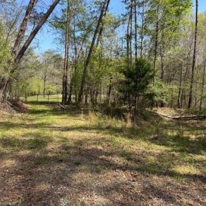 Photo #8 of seven island, Danbury, NC 13.2 acres