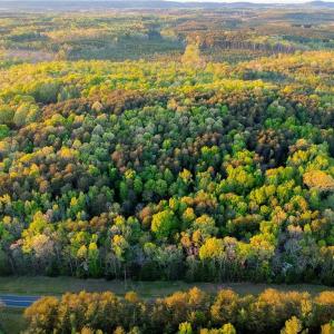 Property is approximately located in between driveway on the left and pond on the right. Photo color virtually enhanced.