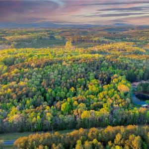 Property is approximately located in between driveway on the left and pond on the right. Photo color virtually enhanced.