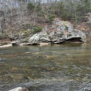 Photo #1 of seven island, Danbury, NC 16.1 acres