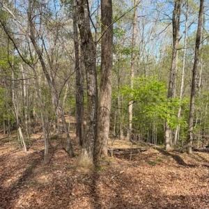 Photo #7 of seven island, Danbury, NC 16.1 acres