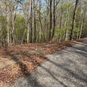 Photo #5 of seven island, Danbury, NC 16.1 acres