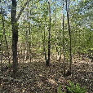 Photo #13 of Cashatt, Trinity, NC 4.9 acres