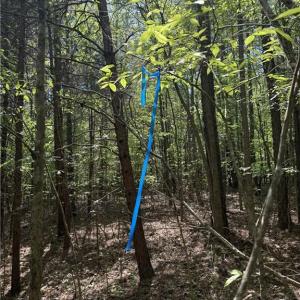 Photo #16 of Cashatt, Trinity, NC 4.9 acres