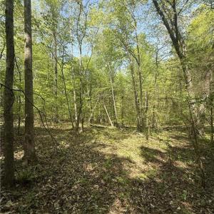 Photo #10 of Cashatt, Trinity, NC 4.9 acres