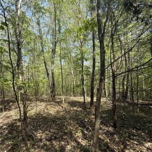 Photo #14 of Cashatt, Trinity, NC 4.9 acres