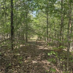 Photo #11 of Cashatt, Trinity, NC 4.9 acres