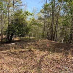 Photo #2 of seven island, Danbury, NC 12.0 acres