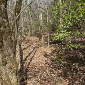 Photo #5 of seven island, Danbury, NC 12.0 acres