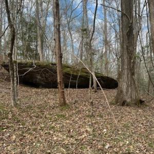 Photo #4 of seven island, Danbury, NC 12.0 acres