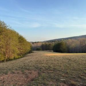 Photo #2 of Crestview, Danbury, NC 13.0 acres