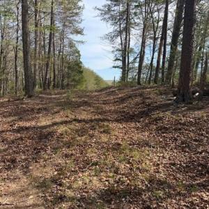 Photo #6 of Crestview, Danbury, NC 13.0 acres