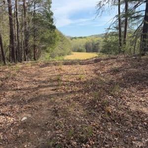 Photo #7 of Crestview, Danbury, NC 13.0 acres