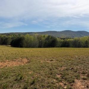 Photo #3 of Crestview, Danbury, NC 13.0 acres