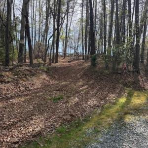 Photo #5 of Crestview, Danbury, NC 13.0 acres