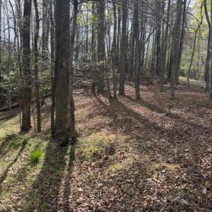 Photo #9 of Crestview, Danbury, NC 13.0 acres