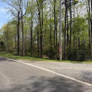 Photo #4 of Crestview, Danbury, NC 13.0 acres