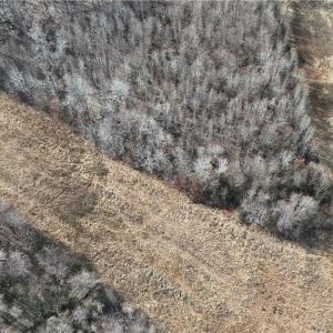Photo #6 of Pearson farm, Summerfield, NC 3.0 acres