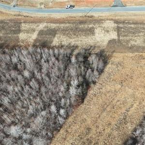 Photo #7 of Pearson farm, Summerfield, NC 3.0 acres